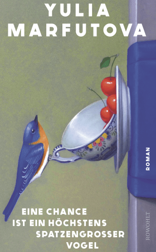 Buchcover von Eine Chance ist ein höchstens spatzengroßer Vogel