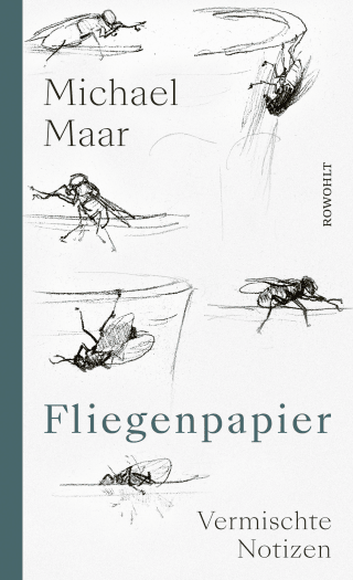 Buchcover von Fliegenpapier: Vermischte Notizen