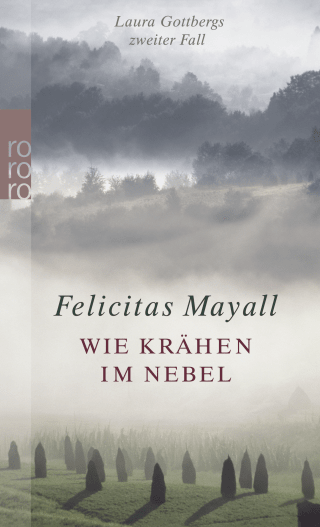 Buchcover von Wie Krähen im Nebel: Laura Gottbergs zweiter Fall