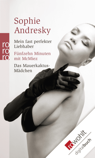 Buchcover von Mein fast perfekter Liebhaber / Fünfzehn Minuten mit McMiez / Das Mauerkaktus-Mädchen