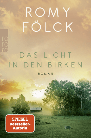 Das Licht in den Birken