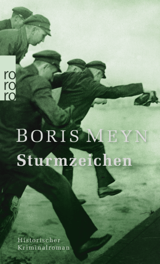 Buchcover von Sturmzeichen