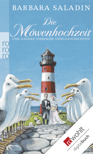 Die Möwenhochzeit