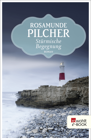Buchcover von Stürmische Begegnung