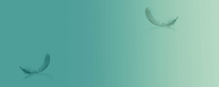 Bausewein, Simader - 99 Fragen an den Tod