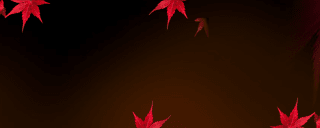 VANITAS - Rot wie Feuer