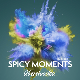 Cover Download Überstunden