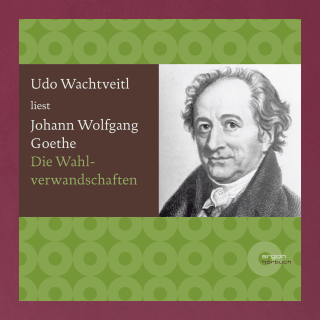 Cover Download Die Wahlverwandtschaften