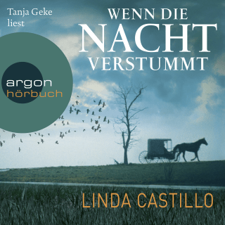 Cover Download Wenn die Nacht verstummt