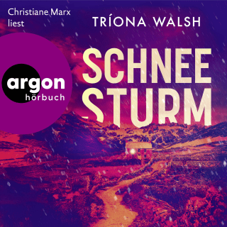 Cover Download Schneesturm