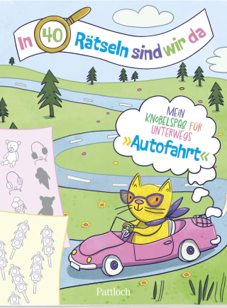 Cover Download In 40 Rätseln sind wir da! - Autofahrt