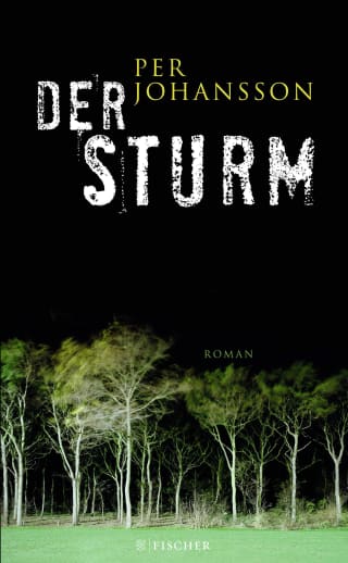 Cover Download Der Sturm