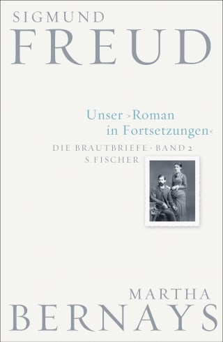 Unser Roman in Fortsetzungen