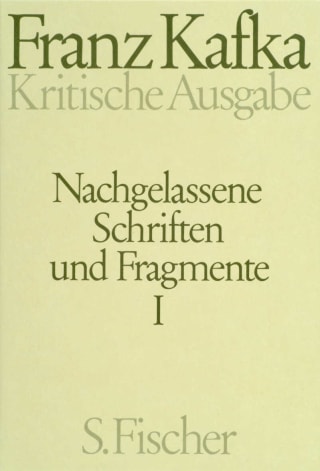 Nachgelassene Schriften und Fragmente I