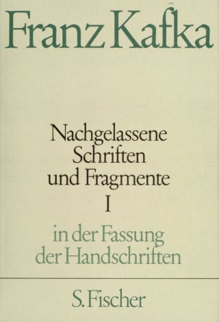 Nachgelassene Schriften und Fragmente I