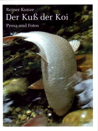 Cover Download Der Kuß der Koi (engl.)