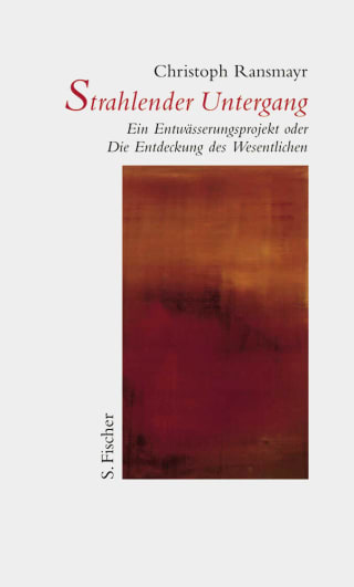 Cover Download Strahlender Untergang