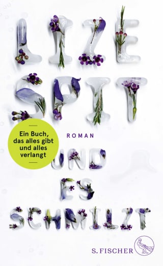 Cover Download Und es schmilzt