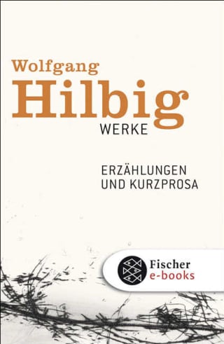 Werke, Band 2: Erzählungen und Kurzprosa