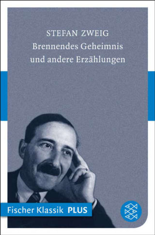 Cover Download Brennendes Geheimnis