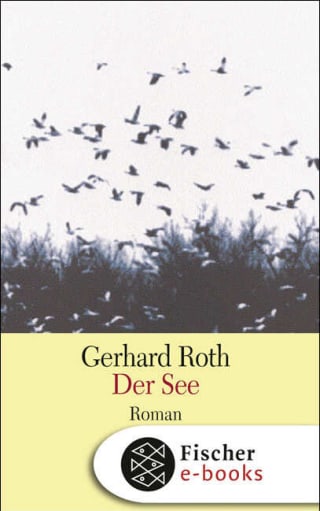 Cover Download Der See