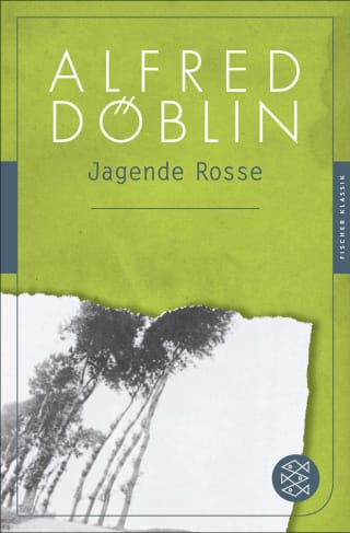 Jagende Rosse