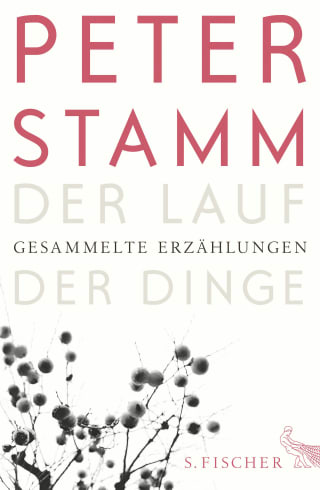 Cover Download Der Lauf der Dinge