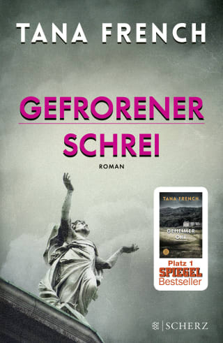 Cover Download Gefrorener Schrei