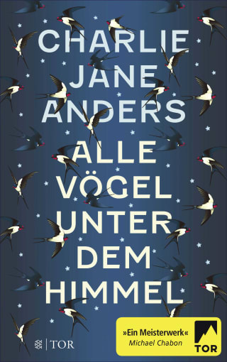 Cover Download Alle Vögel unter dem Himmel