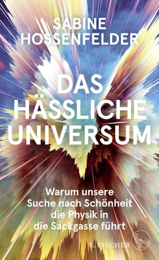 Cover Download Das hässliche Universum