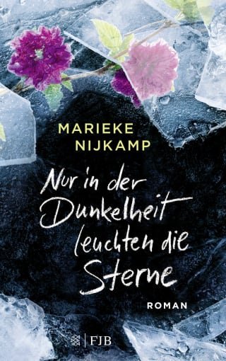 Cover Download Nur in der Dunkelheit leuchten die Sterne