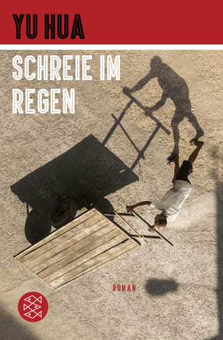 Cover Download Schreie im Regen