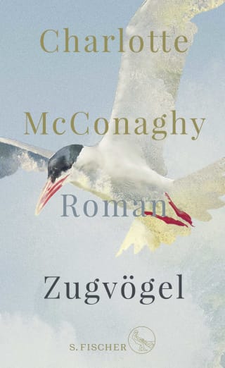 Cover Download Zugvögel