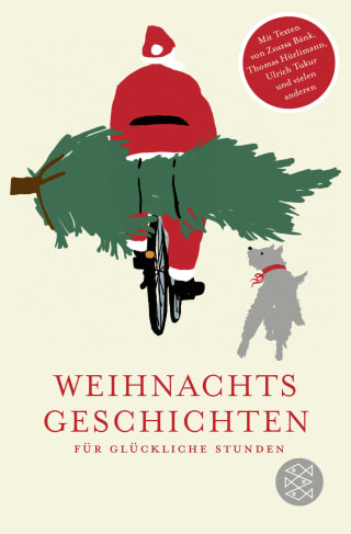 Cover Download Weihnachtsgeschichten für glückliche Stunden