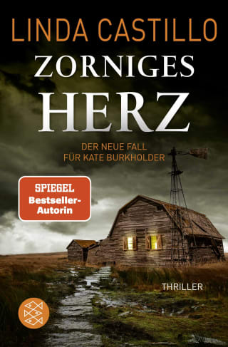 Cover Download Zorniges Herz