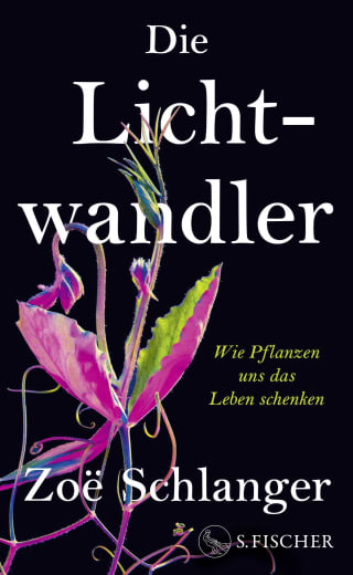 Cover Download Die Lichtwandler