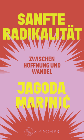 Cover Download Sanfte Radikalität