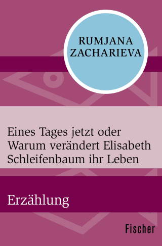 Eines Tages jetzt oder Warum verändert Elisabeth Schleifenbaum ihr Leben