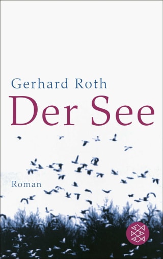 Cover Download Der See