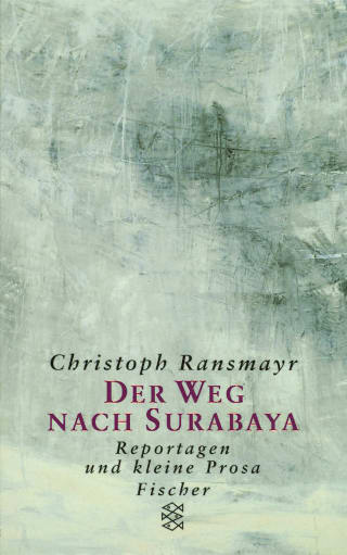 Cover Download Der Weg nach Surabaya