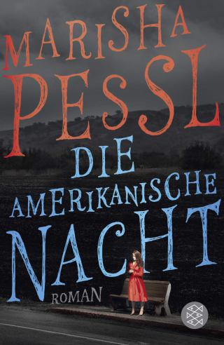 Cover Download Die amerikanische Nacht