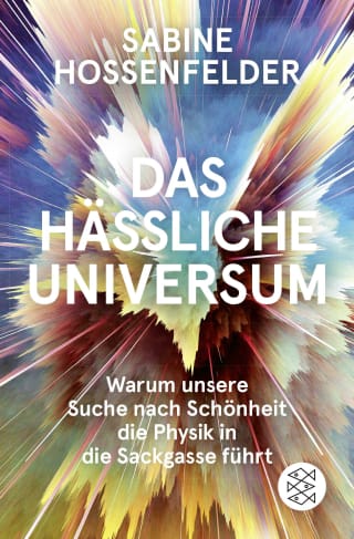 Das hässliche Universum