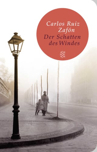 Cover Download Der Schatten des Windes
