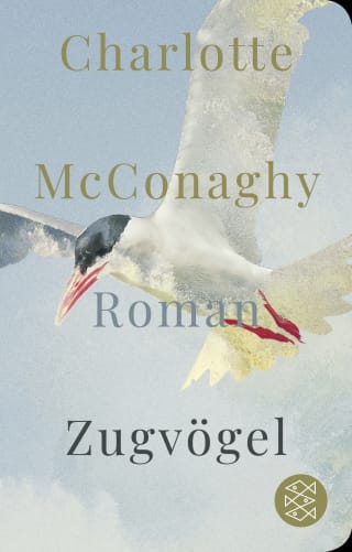 Cover Download Zugvögel