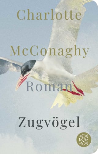 Cover Download Zugvögel