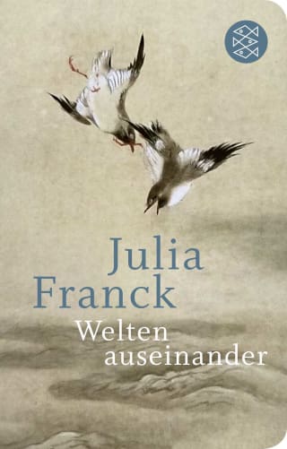 Cover Download Welten auseinander