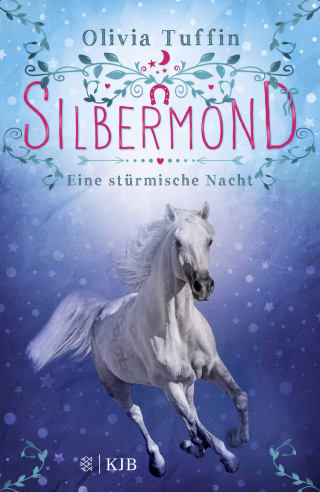 Cover Download Silbermond: Eine stürmische Nacht