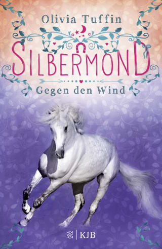 Cover Download Silbermond: Gegen den Wind