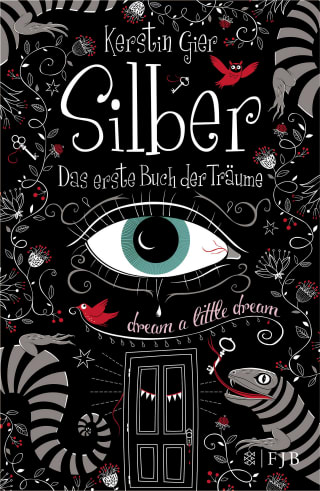 Cover Download Silber - Das erste Buch der Träume