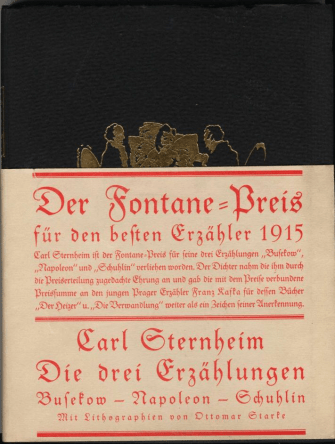 Fontanepreis Sternheim